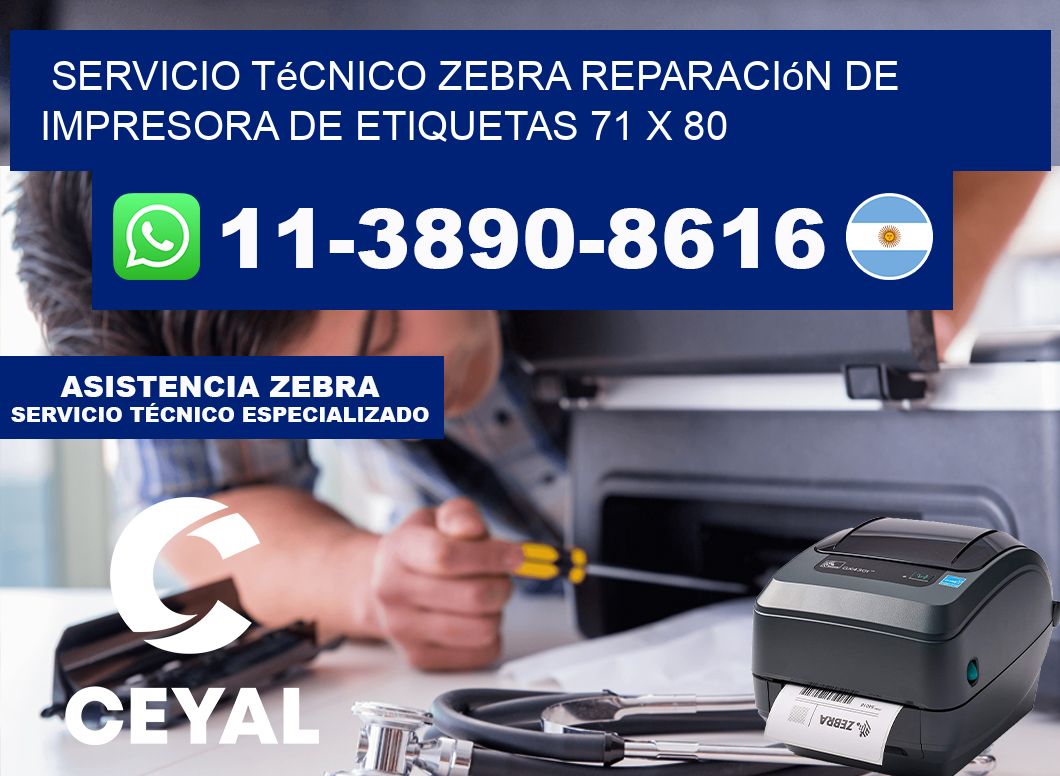 Servicio Técnico Zebra Reparación de Impresora de Etiquetas 71 x 80