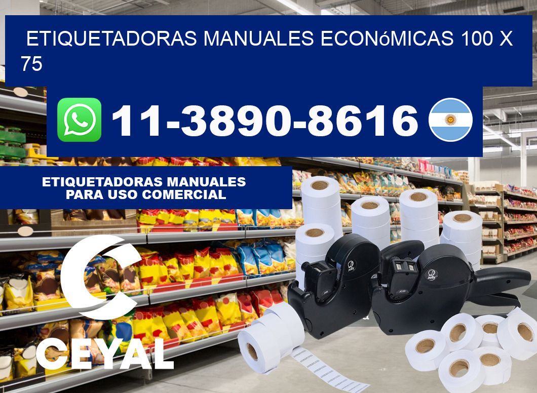 etiquetadoras manuales económicas 100 x 75