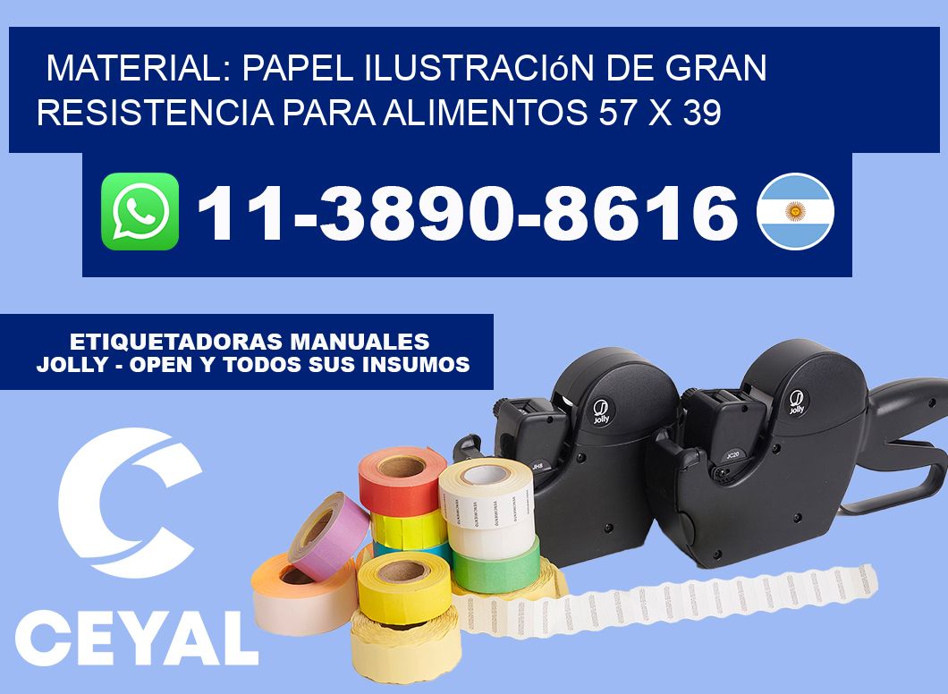 Material: papel ilustración de gran resistencia para alimentos 57 x 39