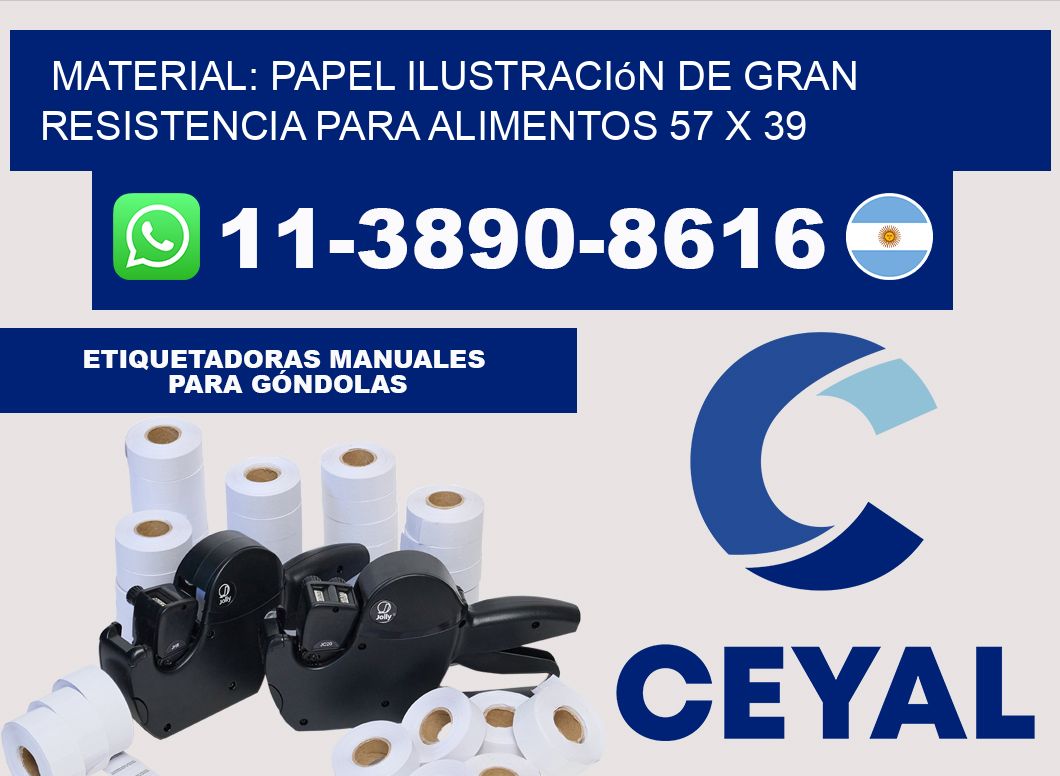 Material: papel ilustración de gran resistencia para alimentos 57 x 39