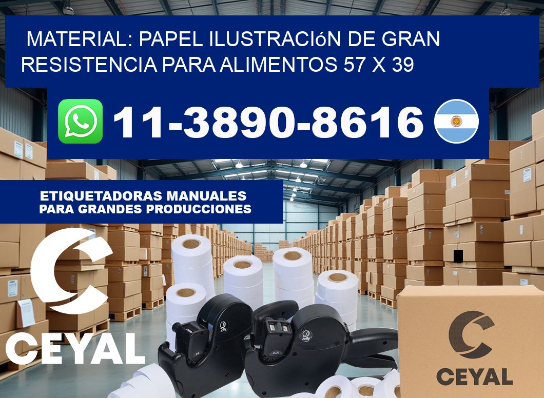 Material: papel ilustración de gran resistencia para alimentos 57 x 39