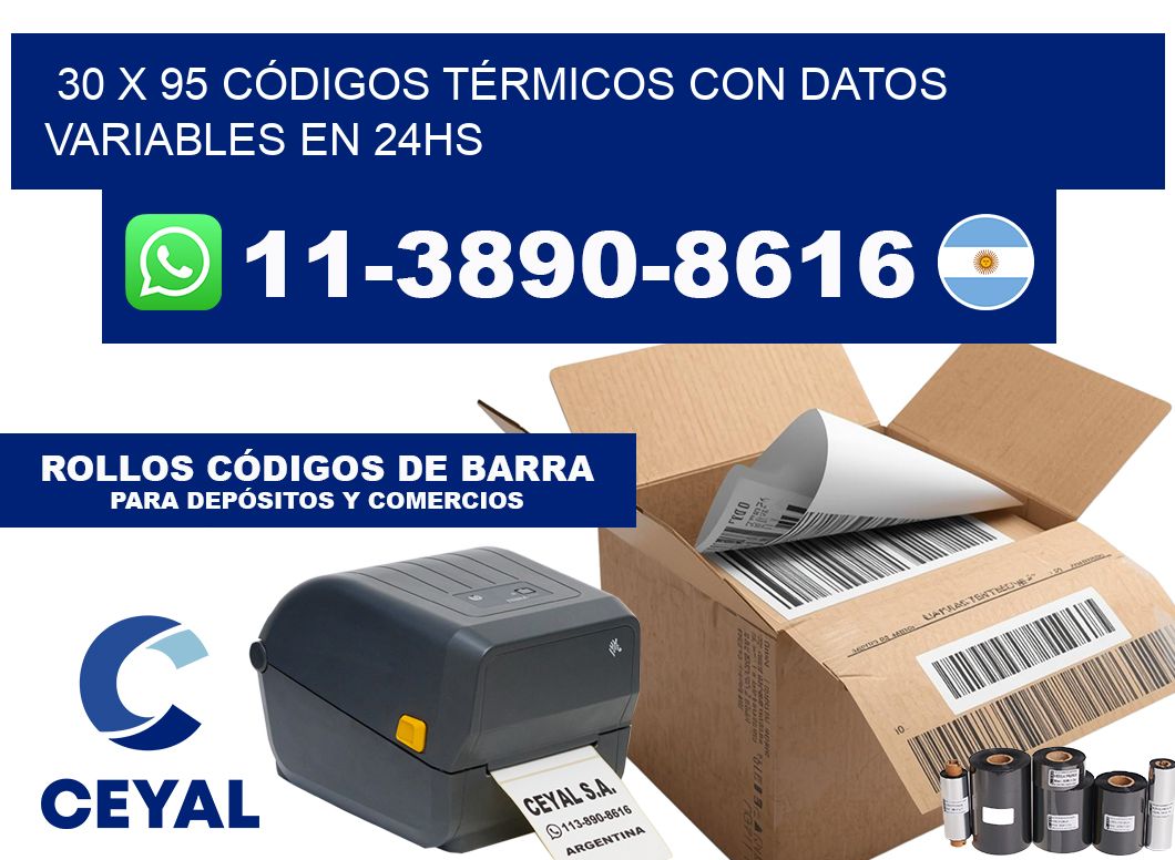 30 x 95 CÓDIGOS TÉRMICOS CON DATOS VARIABLES EN 24HS