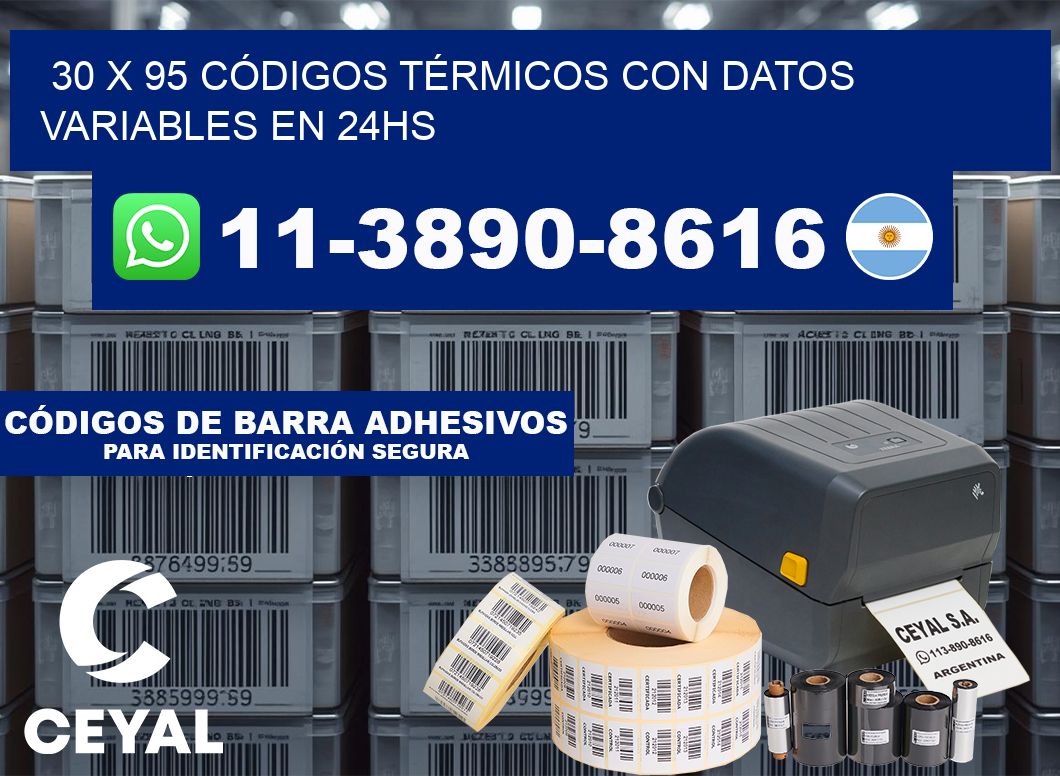 30 x 95 CÓDIGOS TÉRMICOS CON DATOS VARIABLES EN 24HS