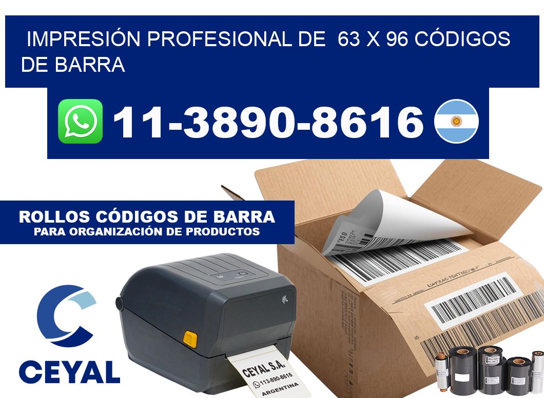 IMPRESIÓN PROFESIONAL DE  63 x 96 CÓDIGOS DE BARRA