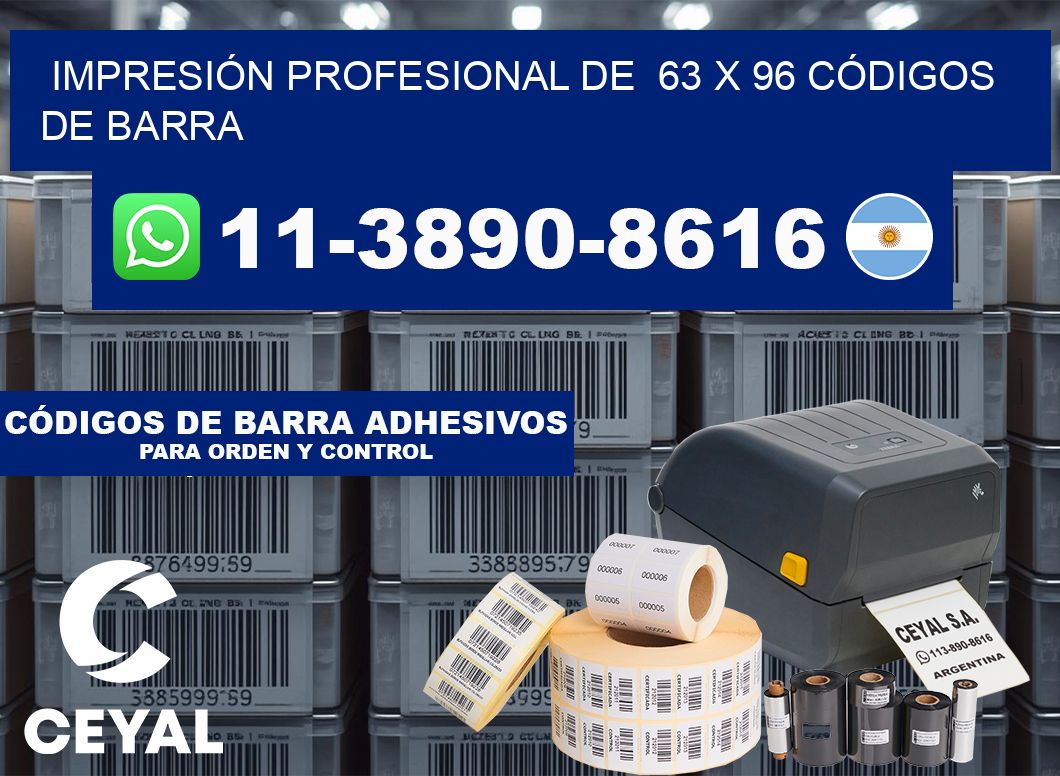 IMPRESIÓN PROFESIONAL DE  63 x 96 CÓDIGOS DE BARRA
