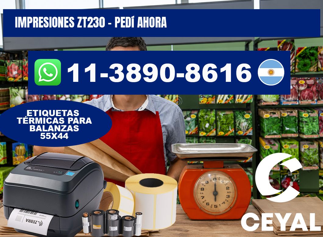 Impresiones ZT230 - Pedí ahora