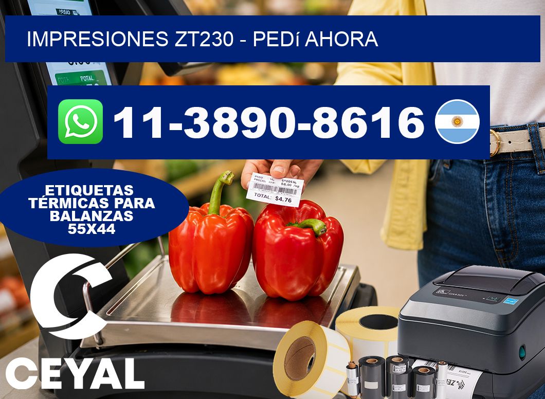 Impresiones ZT230 - Pedí ahora