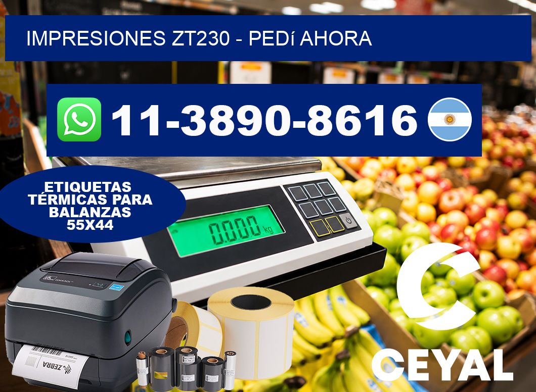 Impresiones ZT230 – Pedí ahora